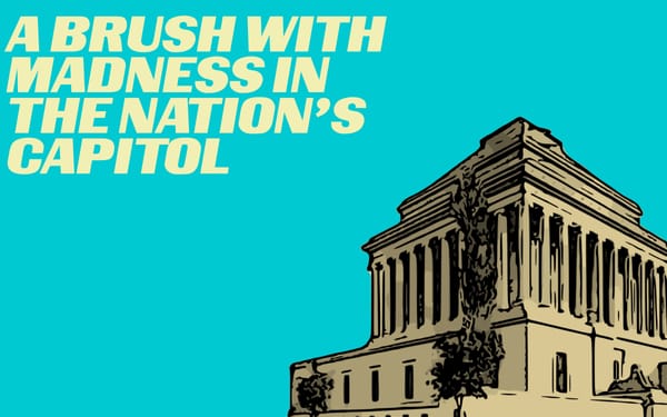 A Brush With Madness In The Nation's Capitol