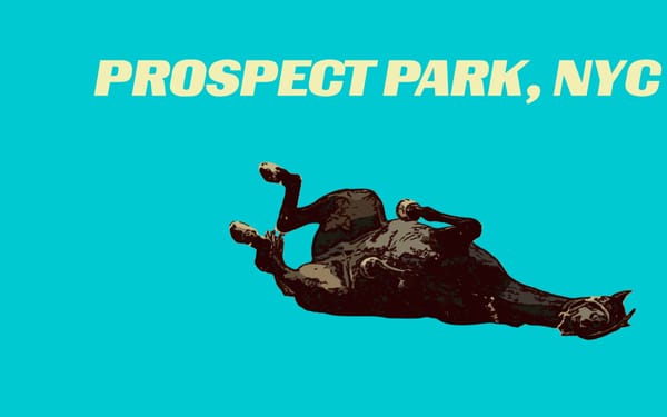 Prospect Park, NYC